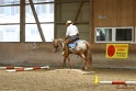 28-ApHC OT_166